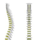 참신경외과의원 이미지