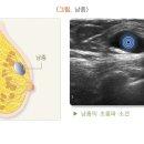 그레이스셀강남병원 이미지