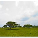 부연목장 이미지