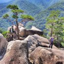 황영조기념관 이미지