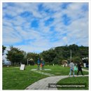 (주)캘리스코논공(대구) 휴게소 | 벚꽃 원정대 예상치 못한 맛집 발견 논공휴게소(광주방향) 솔직 후기