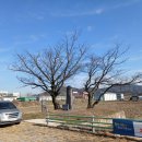 석불 | 귀여운 모습의 조선 후기 석불, 화순 대리 석불입상