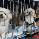 행복을찾는동물병원 이미지