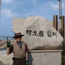 송이호