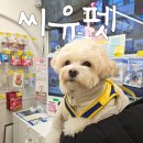 인쌩맥주 부천송내점 | 송내역 애견용품샵 "씨유펫" 강아지 간식사러 방문했어요