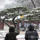 주말 전국 강추위…수도권·제주 등 서쪽 지역에 눈 &#39;펑펑&#39; 이미지