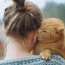 고냥이네 이미지