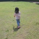 판암양지근린공원 이미지