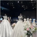 삼성역 섬유센터에서 다녀온 웨딩박람회 후기 :) 결혼준비 막막했는데 한 번에 해결!