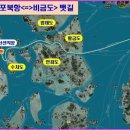 비금도횟집 이미지