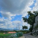 개멍물멍 이미지