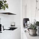 (주)케어풀 이미지