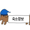 하이까미 이미지