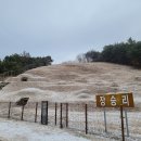 장승리 고분군 이미지