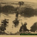 제일머리 이미지