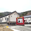 다이노 꽃밭에서 이미지