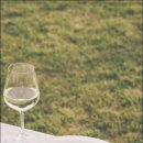 채우다,제주 이미지