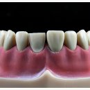 서울아산센트럴치과의원 이미지