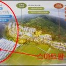 미미팜 네이버블로그