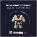 더원태권도 이미지