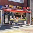 개밥파는고양이은평