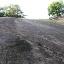 신성리 공룡발자국 이미지