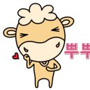무지개다육이 이미지