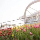 동명행정사 이미지