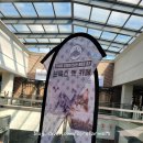 브룩스 캣 카페 이미지