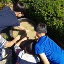 계룡시 농업기술센터 이미지