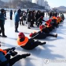 경도인삼