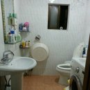 강동초교 이미지