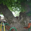 현동면사무소 이미지