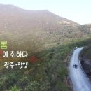 남도제과 네이버블로그