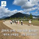 김동권 독 트레이닝센터 | 강아지 산책, 그냥 하면 될까요?｜양산 강아지 산책교육 &#39;핸즈독 산책클럽&#39; 10월 정모 후기