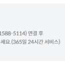 애니카 서비스 이미지