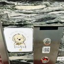 멍스 | 장안구애견유치원 올데이멍스쿨 후기