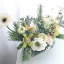 반듯한 이(e)치과교정과치과의원 이미지