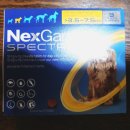 광주백제약국 이미지