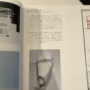 (주)피피엠 네이버블로그