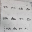 창대문화사