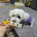 견생개꿀 네이버블로그