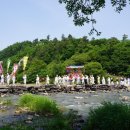 진천장미공원 이미지