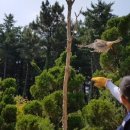 인천광역시 야생동물구조관리센터 이미지