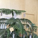 우정원 | 내돈내산 송당리 카페 우정원 베이커리 주차정보 후기