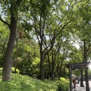 다채몽드 | [웨딩홀 투어] ② 용산 앨리스몽드 | 상담 후기 | 2026년 상반기 견적 공유 | 커스텀 웨딩 | 하우스...