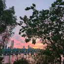 한강르네상스 양화1호점 | 5월 주말의 일기ㅣ기록적인 인파 속에서 사수한 양화한강공원🌳