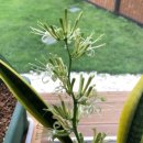 허니콤당구장 | [공지]썬룸에 대한 모든것을 알려주셨습니다! (정독필수^^)