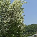 둘레길펜션 이미지