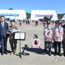 완수 이미지